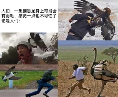 这是一张多图拼接的搞笑反差梗图，上方配文分为两部分，第一部分是人们的想法：“一想到恐龙身上可能会有羽毛，感觉一点也不可怕了”，第二部分用“也是人们：”引出下方四张现实中大型带羽毛鸟类攻击或追赶人类的实拍图：右上角是一只体型庞大的金雕用利爪紧紧抓住一名人类的身体，人类被带起无法挣脱；左上角下方是一只大雁飞向一名戴着头盔的人，此人因惊恐张嘴大喊；左下角是一只加拿大鹅展开翅膀做出攻击姿态，一名人类弯腰弓背快速逃跑躲避；右下角是一只高大的鸵鸟迈开大步，全力追赶前方正在奔跑的人类。这组图通过现实中带羽毛的大型鸟类的攻击性，反向调侃人们原本觉得“带羽毛的恐龙不可怕”的天真想法，用强烈的反差感制造幽默效果，同时也暗示即使是带羽毛的恐龙，也可能像这些大型鸟类一样具有极强的危险性。