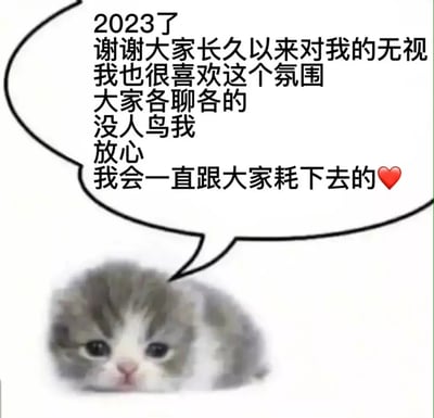 一只趴着的小猫咪配合无奈而自嘲的文字，表达自己长期在群聊没人理会的处境，还自我安慰地说会一直赖在群里，形成反向幽默和小小的温暖气氛。画面和文案结合，带有搞笑、无奈、装可怜的效果，并且利用了卖萌和自嘲。

有轻微的反向撒娇、装可怜和“赖皮”双关意味，让人又好笑又想“抱抱”猫猫的小可怜。有自我调侃和自黑风格。
