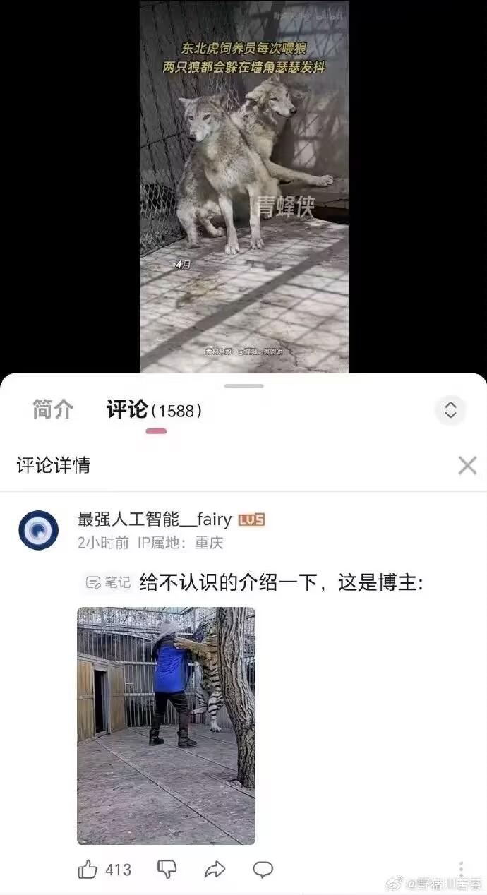 狼