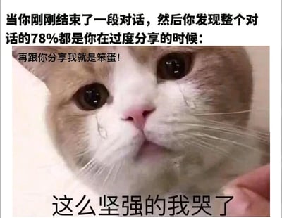 这是一张图文结合的表情素材图，主体是一只眼角带有泪痕、表情委屈可怜的猫咪，猫咪的脸部被一只手轻触，呈现出被安慰的状态。图片上方配有文字“当你刚刚结束了一段对话，然后你发现整个对话的78%都是你在过度分享的时候：再跟你分享我就是笨蛋！”，下方配有文字“这么坚强的我哭了”。这张图通过拟人化的手法，将猫咪的委屈表情与人们在社交场景中，事后意识到自己过度分享而产生的尴尬、懊悔又委屈的情绪相结合，精准戳中了很多人在社交中担心自己话多打扰他人的共情点，生动地表现出那种事后懊恼、自我责备又忍不住难过的细腻心情。
