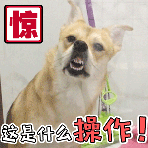 狗狗震惊脸：这是什么操作！