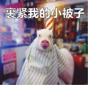裹紧我的小被子 - 小猪表情包