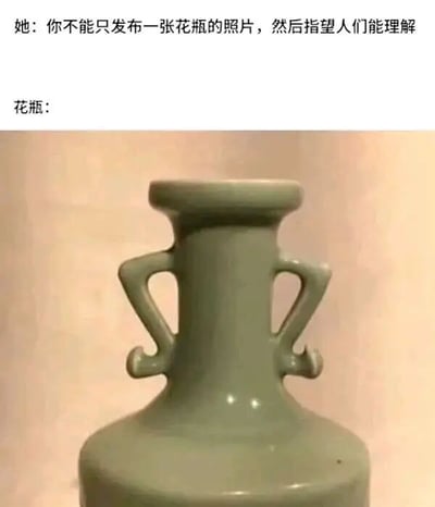 这是一张图文混排的趣味梗图，上方配有文字“她：你不能只发布一张花瓶的照片，然后指望人们能理解”，下方展示了一只青绿色的双耳瓷瓶。该瓷瓶的颈部与两侧弯曲的耳柄在视觉上形成了类似人类举起双手的拟人化姿态，巧妙地通过视觉错位的创意，让原本普通的花瓶仿佛在用肢体语言回应上方的吐槽，实现了“仅用花瓶照片就让人理解表意”的效果，制造出幽默反差，属于典型的网络趣味创作内容。