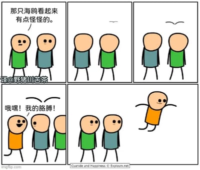 这是一张改编自著名欧美黑色幽默漫画《Cyanide and Happiness》（氰化欢乐秀）的四格梗图。两个小人正在看远方的海鸥，其中一人觉得海鸥看起来很奇怪。随后画面切换，发现'海鸥'实际上是另一个秃顶的路人头顶在远方被看到，路人突然跑过来喊“嗷嘿！我的鸽腚！”。这其实是利用了远处秃顶和海鸥飞翔的剪影极为相似的视觉错位梗，结合了单词双关和搞笑场景。带有轻松幽默/冷笑话风格。

双关/错位点：把远处路人的秃头错看成了海鸥（秃顶形状和'飞鸟'形状类似）。