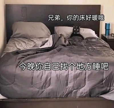 这是一张充满趣味的宠物梗图，画面中一只黑猫惬意地躺在主人的床上，盖着被子占据了整个床铺，图片通过上下两段拟人化配文构建了有趣的场景：上方是黑猫的视角发言“兄弟，你的床好暖哦”，下方是主人被“赶下床”的无奈宣告“今晚你自己找个地方睡吧”，用拟人的手法生动展现了宠物抢占主人床位的日常趣事，充满生活感和幽默感，让人会心一笑。