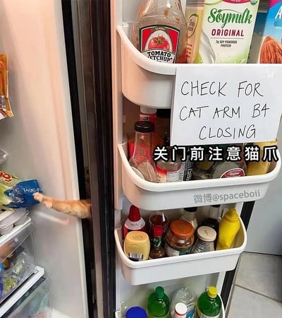这张图片表现了一个常见于养猫家庭的趣事：冰箱门快要关上的缝隙中，一只橘猫爪子正探进来，旁边冰箱门上贴着英文手写提醒纸条：“CHECK FOR CAT ARM B4 CLOSING”，下方还配有中文翻译：“关门前注意猫爪”。场景幽默地反映了猫咪爱钻冰箱、给主人制造小麻烦的日常。

---

谐音/双关/暗示：
其中“cat arm”虽然直译是“猫的手臂”，但实际上指的是猫爪。画面和提示巧妙结合，用温馨幽默的方式提醒大家保护宠物安全，同时暗示了猫咪调皮的日常行为。
