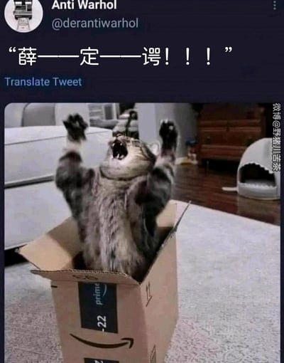 这是一张结合量子力学思想实验的搞笑梗图，画面主体是一只站在亚马逊纸箱里的猫咪，它仰头张嘴、双爪高高举起，呈现出激动嘶吼的姿态。图片上方是Twitter（X）用户Anti Warhol发布的推文，内容为“薛——定——谔！！！”，用猫咪身处封闭纸箱的场景呼应“薛定谔的猫”的实验设定，通过拟人化的嘶吼玩谐音梗，将严肃的科学概念转化为荒诞搞笑的视觉效果。图片右侧带有微博用户@野猪川苦茶的水印，表明该图在微博平台也有传播。