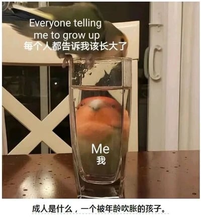 这是一张文字加注的实拍静态图，画面利用装水玻璃杯的视觉效果，让位于杯子后方的橙色鹦鹉看起来像是被“装”在杯子内部，营造出一种“躲起来”的视觉感受。站在杯口的绿色鹦鹉旁配有中英文对照文字“Everyone telling me to grow up 每个人都告诉我该长大了”，代表外界不断催促成长的声音；杯子里的橙色鹦鹉被标注“Me 我”，象征着内心抗拒长大、想要逃避的自己；图片底部还有点睛文字“成人是什么，一个被年龄吹胀的孩子。”，用形象的比喻戳中了很多成年人的内心，表达了在被外界催促成长时，内心依然渴望保留童真、抗拒被迫成熟的情绪，容易引发同龄人的情绪共鸣。