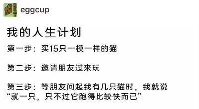 这是一张图文混排的静态单图，整体内容为一个无厘头的整蛊类人生计划。图中以标题“我的人生计划”引出三步计划：第一步是购买15只长相一模一样的猫；第二步是邀请朋友到家中玩耍；第三步是等朋友询问猫的数量时，谎称自己只有一只猫，只是这只猫跑得比较快，以此来误导朋友，让朋友误以为看到的多只猫是同一只快速移动的猫。整个内容通过夸张且不符合常理的整蛊构思制造笑点，属于纯粹的脑洞类搞笑创意，不存在双关、谐音梗或暗示内容。