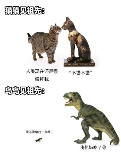 这张梗图通过对比猫和鸟见到各自祖先的情景，搞笑展现了祖先对后代的态度。猫的祖先是一尊埃及猫雕像，暗示猫在古代被崇拜，所以现代猫见到祖先时，表现得自信且被赞许。而鸟的祖先则是恐龙（霸王龙），鸟见到祖先时怯弱请求食物，却被恐龙直接恐吓威胁。整体形成强烈反差和荒诞感，带有一定双关与反讽意味。

【双关说明】
猫“祖先”指代埃及猫神，鸟“祖先”指恐龙（源自科学观点），形成文化&科学梗的结合。