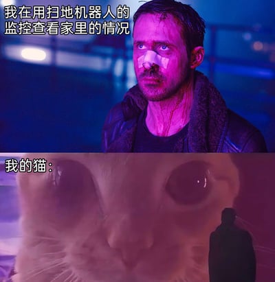 这是一张上下拼接的搞笑梗图，上方采用电影《银翼杀手2049》里主角带伤凝重的画面，配文表现主人通过扫地机器人的监控严肃查看家中情况的状态；下方是猫的巨大近距离脸部画面，对应“我的猫”，营造出强烈的反差感——主人本想正常观察家里，结果猫直接凑到扫地机器人的摄像头前，用大脸填满整个监控画面，生动又搞笑地还原了宠物的调皮日常，戳中养猫人用智能设备看宠物时的趣味经历。