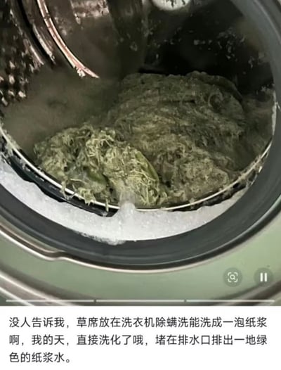 这是一张图文混排的视频截图，上方画面呈现滚筒洗衣机内部的状态：原本的草席经过除螨洗模式后已经完全解体，变成一团绿色的絮状纸浆堆在滚筒内，洗衣机门的密封圈上还附着有白色洗涤泡沫，右下角可见视频播放的暂停控制图标。下方配文是发布者的吐槽，称自己事先不知道草席不能用洗衣机除螨模式清洗，最终草席被洗化变成纸浆，还堵住了洗衣机排水口，排出一地绿色的纸浆水，记录了这次生活中的乌龙翻车事件。