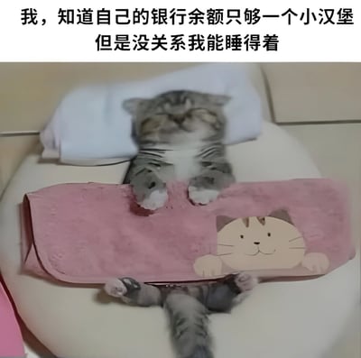 图片上方有文字："我，知道自己的银行余额只够一个小汉堡 但是没关系我能睡得着"。下方是一只灰色虎斑猫仰卧在白色表面上，身上盖着印有卡通猫脸图案的粉色毯子，猫咪双眼紧闭，四肢自然伸展，呈现出熟睡的状态。图片通过可爱的猫咪睡姿与幽默的文字结合，表达了一种面对经济拮据依然保持乐观、心态平和的生活态度。
