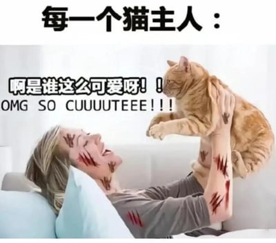 图片展示了一位女性猫主人躺在沙发上，双手高高举起一只橘猫。尽管她的脸上和手臂上布满了明显的猫爪划痕，却依然满脸笑容，对着猫咪说出充满爱意的话语：“啊是谁这么可爱呀！！OMG SO CUUUUTEEE!!!”。图片上方配有文字“每一个猫主人：”，幽默地展现了猫主人即使被猫咪抓伤，依然无法抗拒猫咪可爱魅力的矛盾又真实的状态。这种反差萌戳中了许多宠物主人的共鸣点。