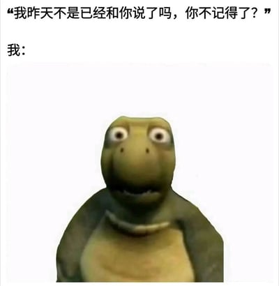 图片上方是他人质问的文字“我昨天不是已经和你说了吗，你不记得了？”，下方“我：”之后是一只绿色卡通乌龟，它瞪大双眼、嘴巴微张，露出惊讶又困惑的表情，生动展现了被指责忘记事情时的茫然反应。