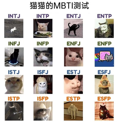 这是一张4×4布局的静态多图拼接图，以“猫猫的MBTI测试”为主题，将16种MBTI人格类型分别对应了具有代表性的网络热门猫咪表情包，用趣味化的方式诠释不同人格的特质：
- INTJ：独自卧在空旷地面的白猫，对应这类人格孤僻、专注的特质；
- INTP：面对一盘草露出嫌弃表情的白猫，体现这类人格挑剔、特立独行的特点；
- ENTJ：摆出霸气姿势的黑猫，对应领导者般的强势气场；
- ENTP：戴着V字仇杀队面具的猫，体现跳脱、反叛的特质；
- INFJ：站在燃气灶火焰上的黑猫，带着神秘、疏离的感觉；
- INFP：表情怪异、情绪激动的猫，对应这类人格敏感情绪化的特质；
- ENFJ：表情温和讨好的猫，体现热情关怀的特质；
- ENFP：彩虹像素猫，对应活泼跳脱、充满童趣的风格；
- ISTJ：表情严肃沉稳的橘猫，体现严谨靠谱的特质；
- ISFJ：戴着针织帽的白猫，像操心的长辈般亲切；
- ESTJ：表情傲娇的白猫，对应强势、爱掌控的特质；
- ESFJ：戴着披萨头套的猫，体现热情爱热闹、喜欢搞怪社交的特点；
- ISTP：拿着扳手的猫，对应动手能力强、务实的特质；
- ISFP：戴着牛仔帽的猫，体现文艺、随性的风格；
- ESTP：站在台阶上的白猫，带着大胆、爱探索的感觉；
- ESFP：身上挂着彩灯的黑猫，对应活泼外向、热爱聚会的特质。