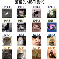 猫猫的MBTI测试