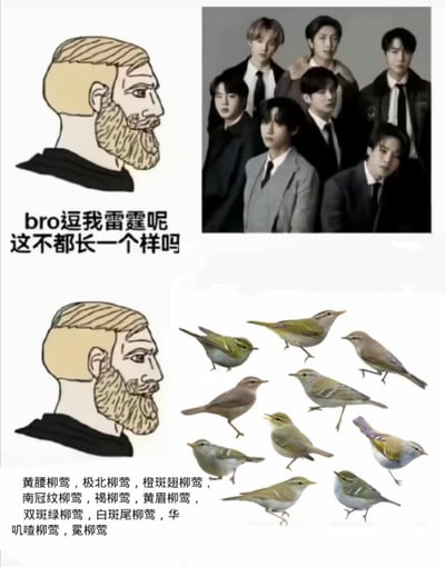 这是一张上下结构的对比类趣味梗图，上半部分左侧为网络流行的大胡子男性简笔画形象，配文“bro逗我雷霆呢 这不都长一个样吗”，右侧是多名穿着正装的韩国男偶像的集体合照；下半部分左侧为同个大胡子简笔画形象，右侧展示了10只外观相似度极高的不同品种柳莺，左下角配文标注了这10种柳莺的具体名称，分别为黄腰柳莺、极北柳莺、橙斑翅柳莺、南冠纹柳莺、褐柳莺、黄眉柳莺、双斑绿柳莺、白斑尾柳莺、华叽喳柳莺、冕柳莺。图中通过对比调侃了人们的认知偏差：对自己熟悉的领域可以分辨出差异极小的不同个体，而在不熟悉的领域则会觉得所有对象都长得没有区别，也常被用来调侃部分网友对韩国偶像团体成员存在脸盲的情况。