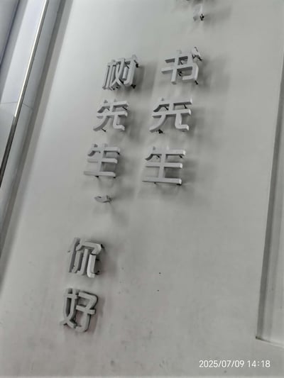 照片展示了一面白色墙壁，上面安装着立体金属字，内容为'树先生 书先生 你好'。文字采用竖排布局，每个字独立安装，有明显的阴影效果。右下角显示拍摄时间为2025年7月9日14:18。