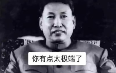 这是一张基于黑白历史照片改编的文字加注梗图，在端坐的人物胸部位置添加了白底黑字的文本「你有点太极端了」。用神态平和的人物形象搭配直白的吐槽文字，形成反差感，适合用来对他人的极端观点或行为进行委婉吐槽，图中没有双关、谐音梗等内容。