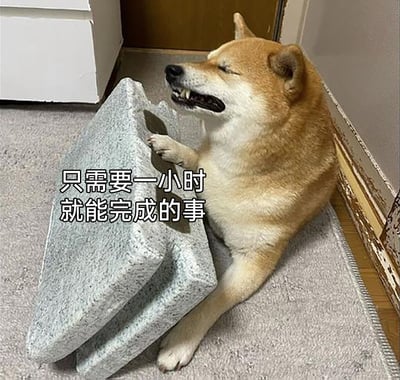 这是一张文字加注的柴犬表情包，图中的柴犬瘫坐在室内地毯上，一只前爪搭在灰色泡沫块上，眉头紧皱、嘴角咧开，露出抗拒又痛苦的神情，画面旁配文“只需要一小时就能完成的事”。该图用动物的生动表情具象化了人类的拖延心态——明明短时间就能完成的任务，却从心底里抗拒行动，仿佛被无形的压力压着提不起劲，精准戳中了拖延人群的日常状态，十分贴切。