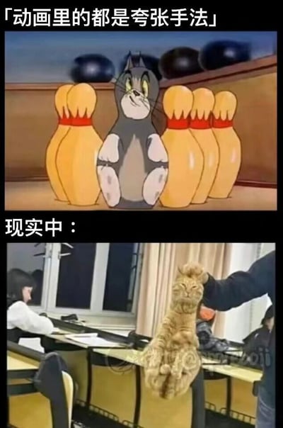 暂无描述