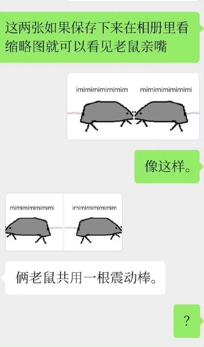 这是一张以聊天界面为布局的搞笑梗图，包含绿色对话气泡和手绘像素风格老鼠图像。上方绿色气泡文字说明“这两张如果保存下来在相册里看缩略图就可以看见老鼠亲嘴”，中间是两只灰色像素老鼠面对面站立的图像，上方分别有“imimimimimimim”和“mimimimimimimi”的拟声词。下方绿色气泡标注“像这样”，并展示了被分割成左右两格的老鼠图像。最底部白色文字写着“俩老鼠共用一根震动棒。”，右下角绿色气泡有一个问号。核心笑点在于利用缩略图视觉误差，让分开的两张老鼠图在缩略图中看起来像在亲嘴，结合底部的双关文字形成幽默效果。