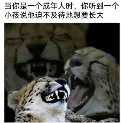 图片上方配有文字：'当你是一个成年人时，你听到一个小孩说他迫不及待地想要长大'，下方是两只猎豹仰头张嘴的画面，表情夸张，似在大笑又带着一丝无奈。通过动物的夸张表情幽默地表现了成年人听到小孩渴望长大时的复杂心情，反映了成长中不同阶段的视角差异。