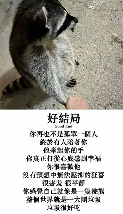 这是一张图文混排的搞笑梗图，上半部分是真实拍摄的浣熊侧坐在水泥地面上，伸出爪子与人类的手牵手，浣熊神态平静放松；下半部分是排版规整的文字内容，标题为“好结局”，开篇以温馨治愈的语气描述了有人陪伴、牵手的幸福场景，随后笔锋一转，将主角代入浣熊的视角，用“整个世界就是一大团垃圾，垃圾很好吃”的反差内容打破读者对“好结局”的温馨预期，利用浣熊喜爱翻找垃圾的习性制造搞笑效果，反差感十足，趣味满满。