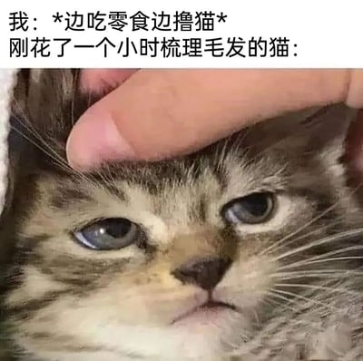 图片上方文字描述了场景：“我：*边吃零食边撸猫* 刚花了一个小时梳理毛发的猫：”，下方是一张特写照片，一只毛色为灰白相间的猫正被人的手指轻轻抚摸头部。猫咪眼神平静，嘴巴微抿，表情中透露出一丝无奈，仿佛在无声抗议自己刚整理好的毛发又被弄乱。整体画面幽默地展现了宠物主人与猫咪之间的日常小矛盾，十分贴近养宠人士的生活体验。