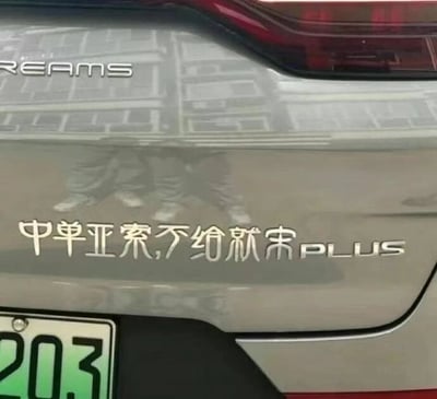 这是一张原始拍摄的静态单图，展示了一辆比亚迪宋PLUS新能源汽车的车尾部分。车尾下方贴有白色的趣味文字贴纸，内容为“中单亚索，不给就宋PLUS”，这里运用了谐音梗，将车型名称“宋”与游戏术语“送”谐音结合，指代热门MOBA游戏《英雄联盟》中的英雄亚索，意思是如果在游戏中不给自己选中单位置的亚索，就会“送”（宋）给对手PLUS级别的优势，玩了一个结合汽车名称与游戏内容的趣味双关。车尾上方还能看到部分“REAMS”的标识，左下角露出了绿色新能源车牌的一部分，数字为203。