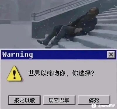 这是一张经过P图改编的网络梗图，整体为横屏电脑格式。图片上半部分是一个3D渲染风格的场景：一名穿着深色衣物的人物在积雪覆盖的楼梯上滑倒，狼狈地坐在台阶上，背景飘着雪花，营造出倒霉、受挫的氛围；下半部分模仿电脑系统的警告弹窗样式，蓝色标题栏标注英文“Warning”，弹窗内左侧是黄色警示图标，右侧配文“世界以痛吻你，你选择？”，下方设置了三个选项按钮，分别是“报之以歌”“扇它巴掌”“痛死”。这张图解构了泰戈尔的经典诗句，用幽默、接地气的方式将面对苦难的选择具象化，戏谑地表达了当代人在遭遇生活挫折时的不同心态，图片右下角带有“@meme图吧”的水印。