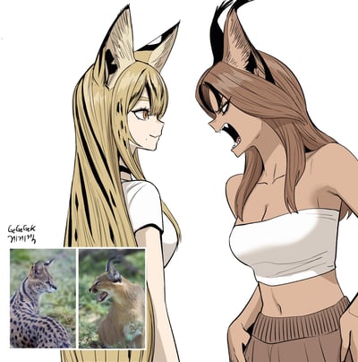 暂无描述