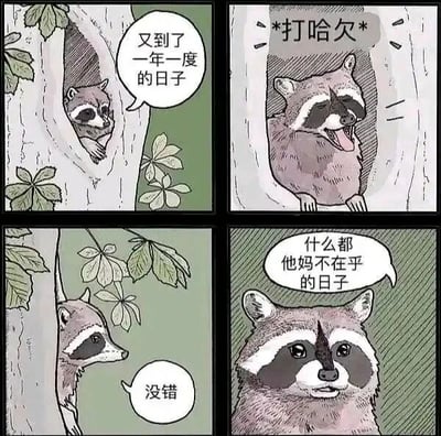 这是一幅四格连环卡通漫画，主角是一只拟人化的浣熊。第一格中，浣熊从树洞里探出上半身，表情带着一丝期待，配文“又到了一年一度的日子”，引发读者对这个特殊日子的好奇；第二格，浣熊完全从树洞里出来，张大嘴巴打哈欠，表现出慵懒的状态，标注“*打哈欠*”进一步强化松弛感；第三格，浣熊从树干的另一侧探出头，用简洁的“没错”承接上一格的情绪；第四格，浣熊的鼻子上多了一个类似牛角的装饰，表情变得无所谓，配文“什么都他妈不在乎的日子”点明主题。漫画用这种夸张的小变化和直白的文字，调侃当下人们渴望彻底放空、摆烂，摆脱一切顾虑的情绪，将动物的日常行为和人类的精神状态结合，幽默又容易引发共情。