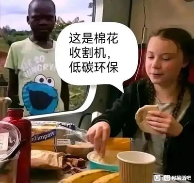 这是一张经过P图改编的拼接讽刺梗图，画面被分为左右两个场景：右侧是瑞典环保活动人士格蕾塔·通贝里，她坐在摆满面包、香蕉等食物的桌前，手里拿着食物，一只手伸向碗中，旁边的对白气泡标注着她的台词“这是棉花收割机，低碳环保”；左侧是一位站在窗外的非洲黑人男孩，他穿着印有甜饼怪图案和“ME SO HUNGRY”字样的T恤，神情茫然地看向室内。这张图通过将格蕾塔的环保言论与非洲贫困孩子的生存处境进行拼接对比，用讽刺的手法调侃部分环保理念脱离实际，忽视了发展中国家的基本生存需求，形成强烈的反差感，凸显出言论与现实的割裂。