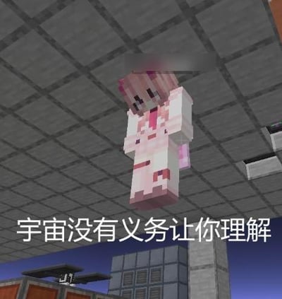 图片展示了《我的世界》(Minecraft)风格的场景，一名粉发像素角色悬浮在灰色方块天花板下，身着白色服饰。角色下方有白色文字叠加：'宇宙没有义务让你理解'。背景为典型的Minecraft方块建筑，包括石质墙壁和底部可见的蓝色天空。整体画面结合了游戏视觉元素与哲学短句，营造出一种略带沉思的氛围。