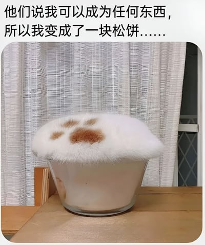 图片上方配有文字“他们说我可以成为任何东西，所以我变成了一块松饼......”，下方是一只猫咪蜷缩在透明玻璃碗中的场景。猫咪通体雪白，身上有几处棕色斑点，蓬松的毛发让它看起来像一块刚出炉的松软松饼，与文字内容形成趣味呼应。背景是白色竖条纹窗帘，碗放置在木质桌面上，整体画面温馨又充满幽默感。