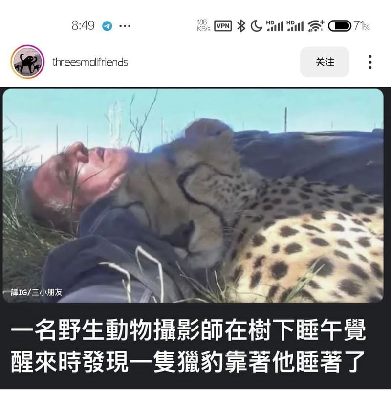 野生动物摄影师