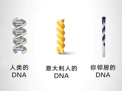 图片通过视觉隐喻幽默对比三类“DNA”：左侧为标准DNA双螺旋结构标注“人类的DNA”，中间是螺旋形意大利面标注“意大利人的DNA”（调侃意大利人对意面的喜爱），右侧为黑色钻头标注“你邻居的DNA”（暗示邻居可能经常钻孔制造噪音）。整体采用左右三栏对比构图，用日常物品夸张替代不同群体的“本质特征”，充满网络梗图的戏谑感。