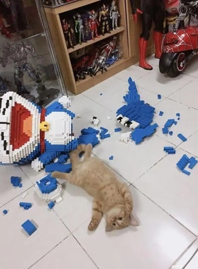 图片中一只橘色猫咪躺在地板上，旁边是一堆已被摧毁的积木哆啦A梦模型碎片，现场一片狼藉。猫咪神情悠然，仿佛毫无愧疚。背景是一个装满特摄和动漫角色手办的收藏柜，整体画面既搞笑又令人心疼，猫咪和碎片之间的因果关系一目了然。这里隐含一种反差萌趣味：猫的无辜与造成的“灾难”形成了鲜明对比，常被网友戏称为“猫猫作案现场”。没有明显双关或暗示，但猫咪的无辜表情本身就有“装没事”梗的意味。