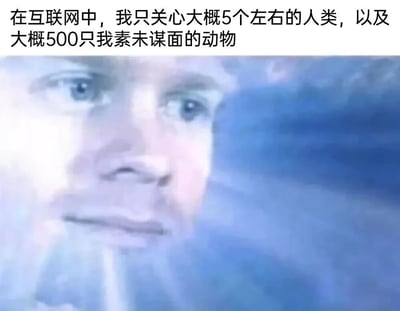 这张梗图上方配有文字'在互联网中，我只关心大概5个左右的人类，以及大概500只我素未谋面的动物'，下方是一张模糊的人类面部特写（重点为眼睛），通过夸张对比表达当代人在网络上更关注动物内容的有趣现象。