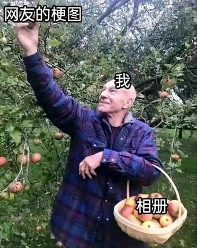 这是一张网友创作的趣味梗图，选取了老人在苹果园摘苹果的真实场景照片，将老人标注为“我”，将装满苹果的篮子标注为“相册”，用摘苹果放进篮子的动作类比人们往相册里存储照片的行为，生动调侃了大家热衷于记录生活、不断往相册中添加照片的日常状态，充满生活化的幽默感，容易引发人们的共鸣。