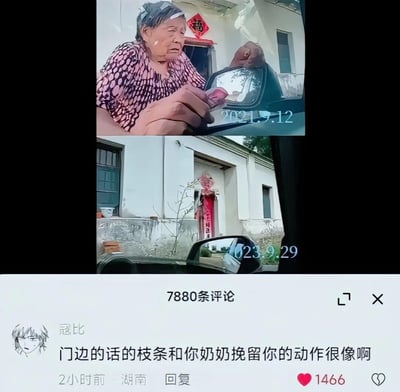 这是一张上下分栏的对比图，上图拍摄于2021年9月12日，一位老奶奶站在自家白墙黑瓦的家门口，对着车的后视镜，伸手做出挽留即将离开的晚辈的动作；下图拍摄于2023年9月29日，同一个家门口，老奶奶已经不在，只有门边一根细枝条，其形态和当初老奶奶挽留的手极为相似。图下方是抖音的评论区，热评“门边的花的枝条和你奶奶挽留你的动作很像啊”（原评论“话”为打字错误），精准戳中了物是人非的伤感，引发众多网友的情感共鸣。