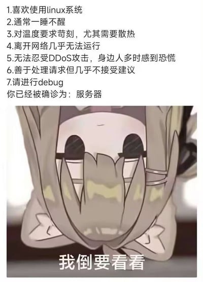 图片上半部分为文字内容，列出7个类似“病症”的特征：喜欢使用Linux系统、一睡不醒、对温度要求苛刻需散热、依赖网络、无法忍受DDoS攻击（类比人多恐慌）、善于处理请求不接受建议、需要debug，最后诊断结果为“服务器”。下半部分是一个动漫角色，长发遮脸，双手捂脸低头，下方配有文字“我倒要看看”。整体通过将服务器的技术特性拟人化，结合网络流行的“确诊体”格式，以幽默调侃的方式呈现，适合在社交媒体传播。