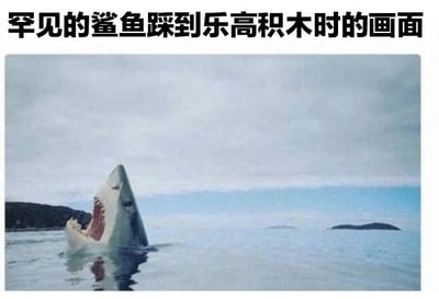 图片上方配有文字“罕见的鲨鱼踩到乐高积木时的画面”，下方是一张鲨鱼从水中跃起的照片。鲨鱼嘴巴大张，露出锋利牙齿，表情狰狞，背景为多云的天空和远处的岛屿。图片通过将鲨鱼的凶猛姿态与“踩到乐高积木”这一人类常见的疼痛体验相结合，制造出幽默反差效果，让人会心一笑。