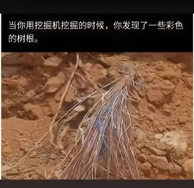 这是一张图文结合的静态图，画面上方配有文字说明“当你用挖掘机挖掘的时候，你发现了一些彩色的树根。”，下方的视觉内容展示了一处挖掘现场，红褐色的土石堆中露出一束带有淡蓝、浅紫等特殊色彩的树根，与周围普通的土石形成视觉对比，营造出挖掘到特殊事物的意外感与新奇感。