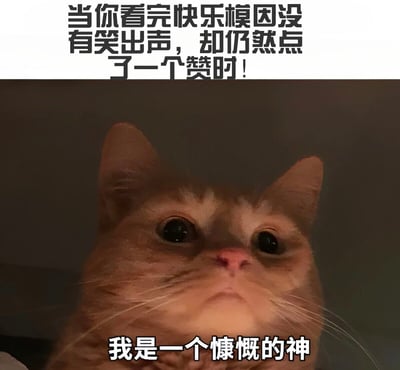 这是一张幽默 meme，展示了一只橘猫抬头的画面，配文描述了看完 meme 没笑却点赞的情景，表达了一种自嘲式的慷慨。
