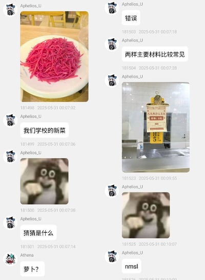 这是一组聊天截图，内容是几人在讨论学校食堂新推出的一道颜色鲜艳（偏粉红色）的菜。主角Aphelios_U晒出这道新菜的照片，引发讨论。期间配有经典网络梗——鼹鼠吃瓜表情包以及“nmsl”网络热词。同时有对学校窗口标识（“火爆热炒类 窗口5”）的调侃，整体气氛搞笑、无奈中夹杂微微吐槽。对菜品的猜测涉及萝卜、常见食材，部分内容暗含着对校园饮食创新的质疑和调侃。本图含有流行文化与中性网络用语，鼹鼠表情包和“nmsl”有一定网络谐音梗性质。