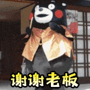 动图中熊本熊穿着标志性黑色身体配红色腮红的服装，在日式格子门背景前做出连续鞠躬的动作，画面下方重复出现黄色文字“谢谢老板”，整体动态展现出热情感谢的场景，常用于表达对上级或给予帮助者的感激之情，氛围轻松欢快。