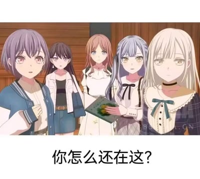 图中展示了二次元音乐企划《BanG Dream!》衍生乐队MyGO!!!!!的五位成员——高松灯、千早爱音、长崎爽世、椎名立希、要乐奈，她们一同看向镜头，表情带着疑惑与质问的感觉，画面下方配文“你怎么还在这？”，多用于调侃、催促他人离开，或是表达对对方仍未离开的惊讶，适合用来吐槽摸鱼、还未下班/离场的人，无特殊双关或谐音梗。